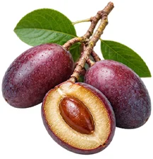 African plum bark extract in {{OFFER_NAME}}
