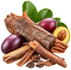 African plum bark extract in {{OFFER_NAME}}