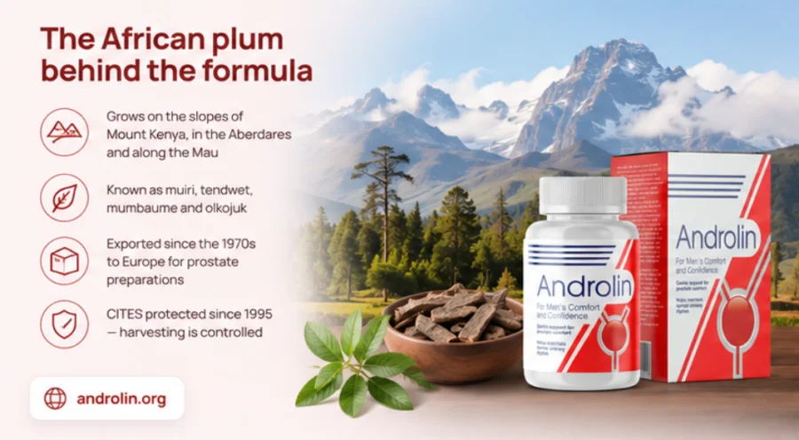 African plum bark, the main active of {{OFFER_NAME}}