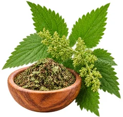 Stinging nettle extract in {{OFFER_NAME}}
