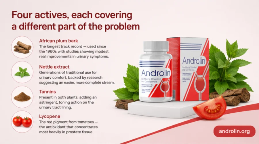 The four plant actives inside {{OFFER_NAME}}