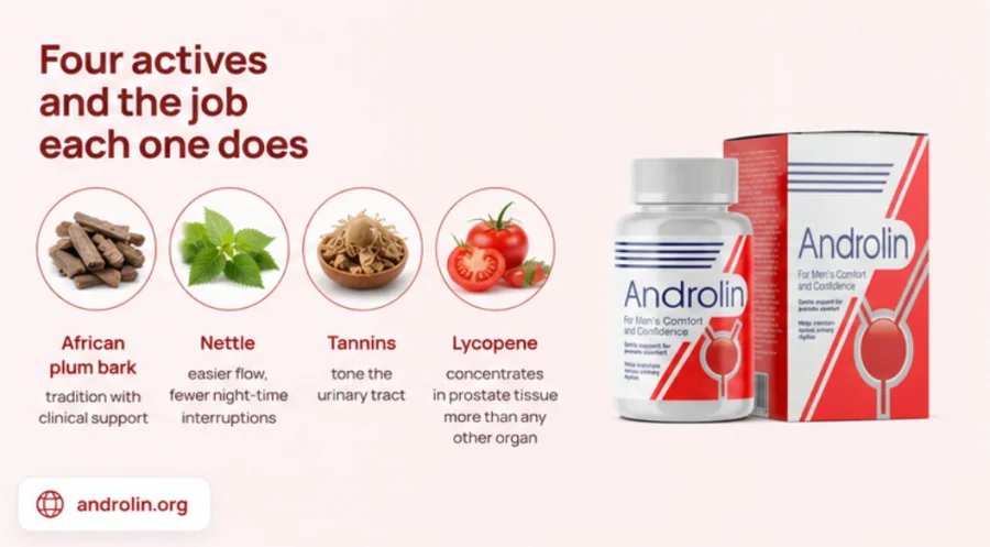 The four plant actives inside {{OFFER_NAME}}